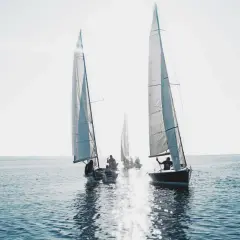 Varios veleros navegan en un día soleado. Es como soñar con barco, con las velas blancas brillando y el agua reflejando la luz.