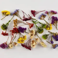 Un ramo de flores secas de colores vibrantes, como si fuera un sueño con flores, sobre un fondo blanco.
