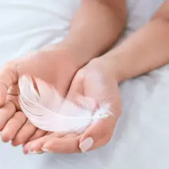 Manos sostienen una pluma blanca, símbolo de paz y pureza. Su delicadeza evoca la ligereza y el significado de la pluma blanca.