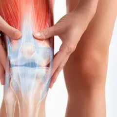 Manos que alivian dolores musculares y articulares en la rodilla, mostrando la anatomía ósea y muscular.