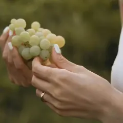 Manos con uñas blancas sostienen un racimo de uvas verdes, como si soñar con uvas fuera posible.