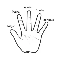 Ilustración de una mano abierta con los nombres de los dedos: Pulgar, Índice, Medio, Anular y Meñique. Explora el significado de los anillos en cada dedo.