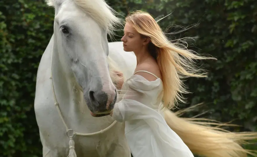 Soñar con caballos - significado según lo que ocurre en el sueño