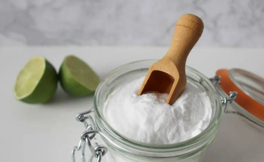 Remedios caseros para los mosquitos y cómo prevenir picaduras
