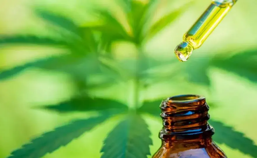 CBD, qué es y qué riesgos tiene antes de probarlo