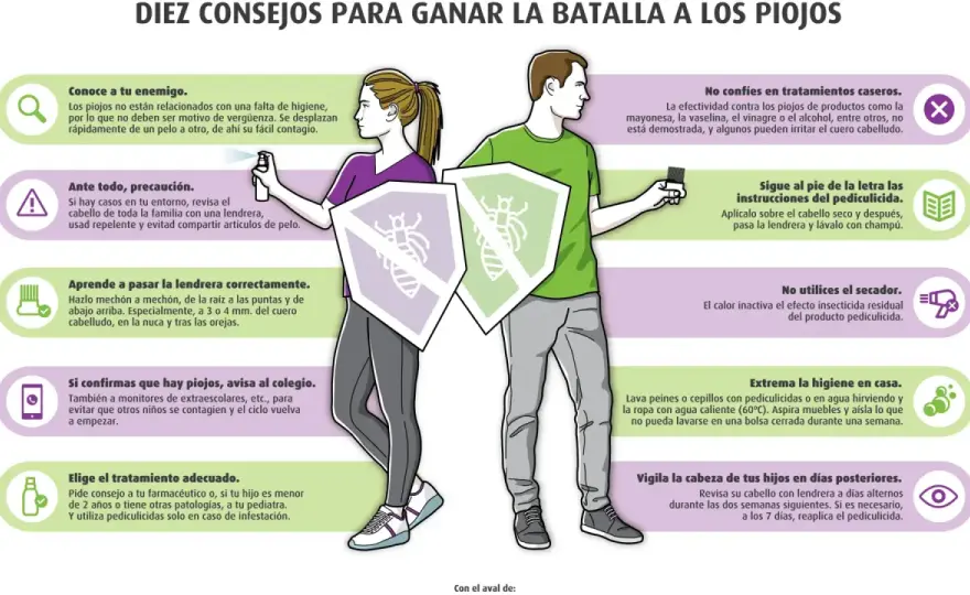 ¿Una persona puede criar piojos? Cómo detener la infestación