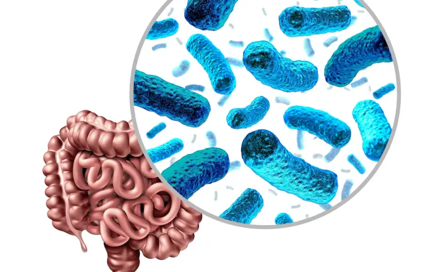 Microbiota intestinal y cómo cuidarla sin falsas promesas