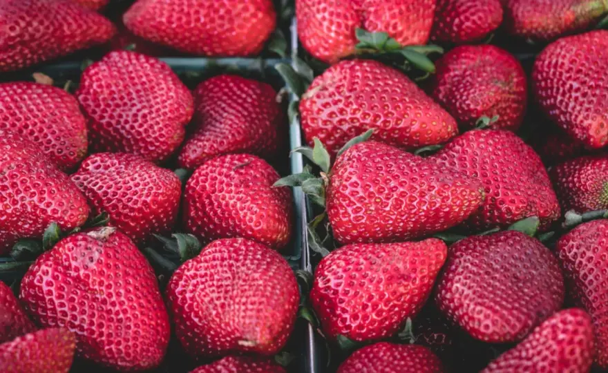 ¿Qué significa soñar con fresas? Interpretación según el sueño