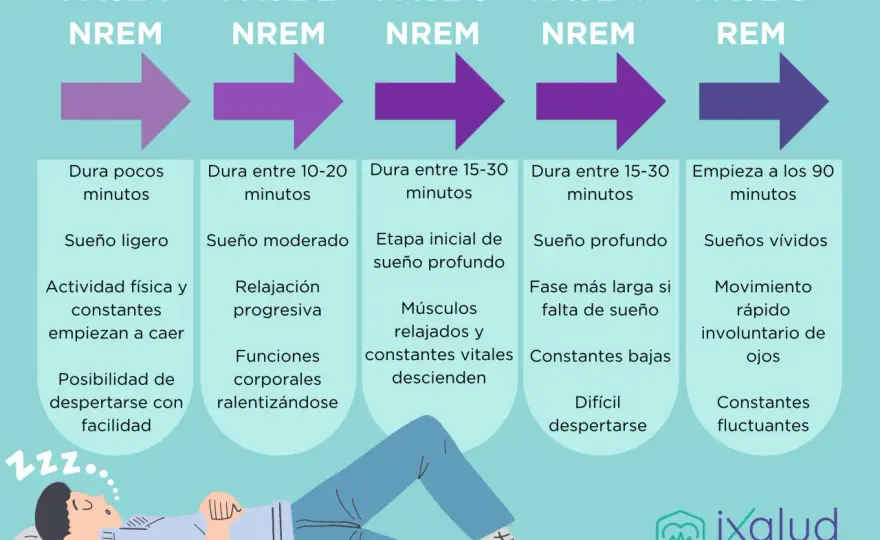 Fases del sueño, cómo funcionan y cómo dormir mejor
