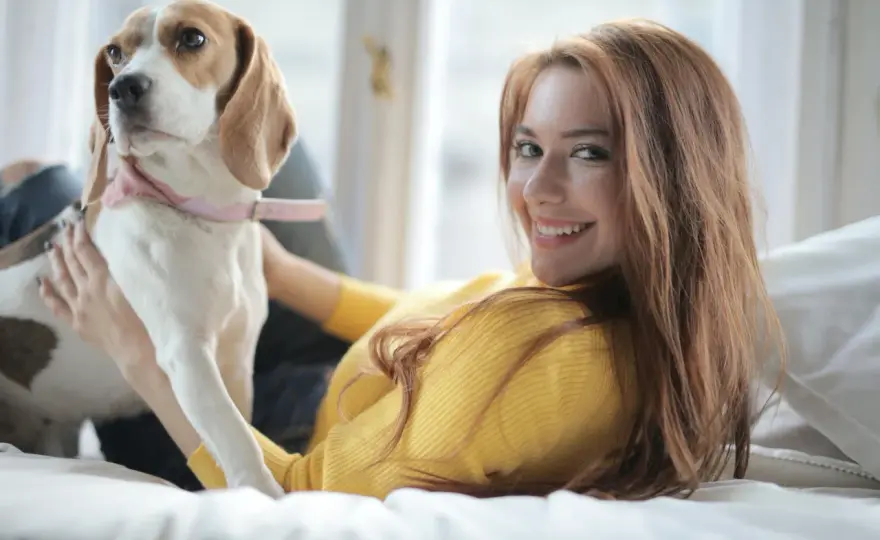 Soñar con perros grandes - significado según la escena