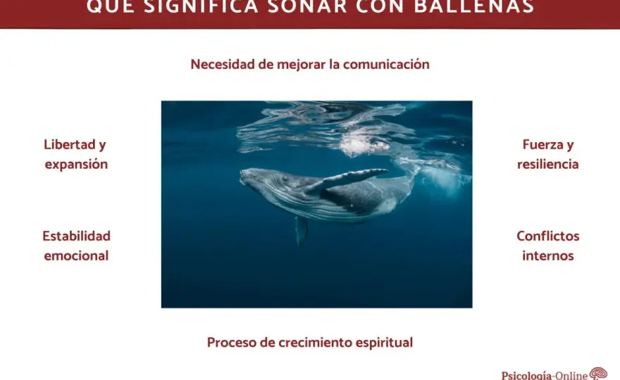 ¿Qué significa soñar con ballenas? Claves para interpretarlo