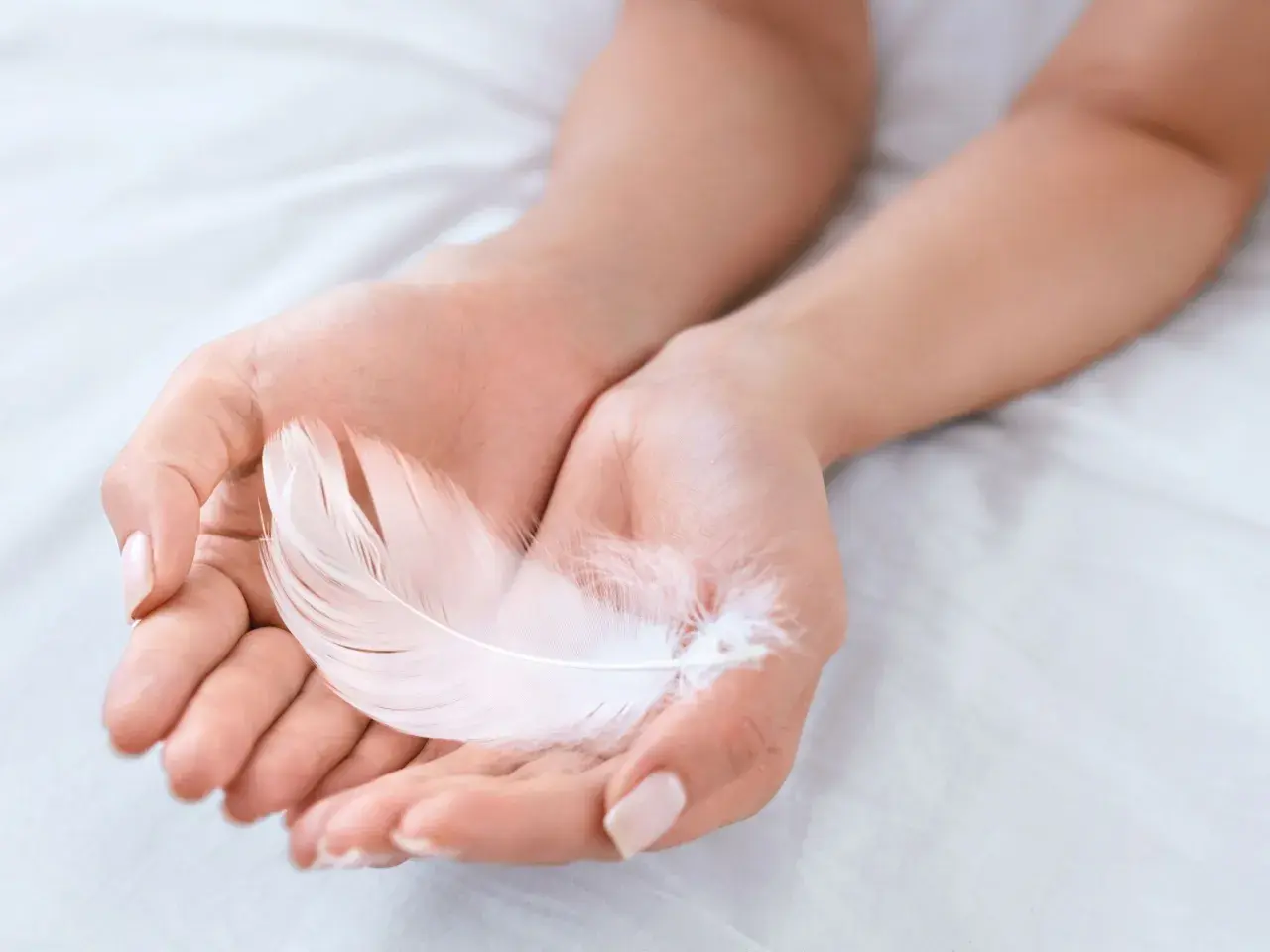 Manos sostienen una pluma blanca, símbolo de paz y pureza. Su delicadeza evoca la ligereza y el significado de la pluma blanca.