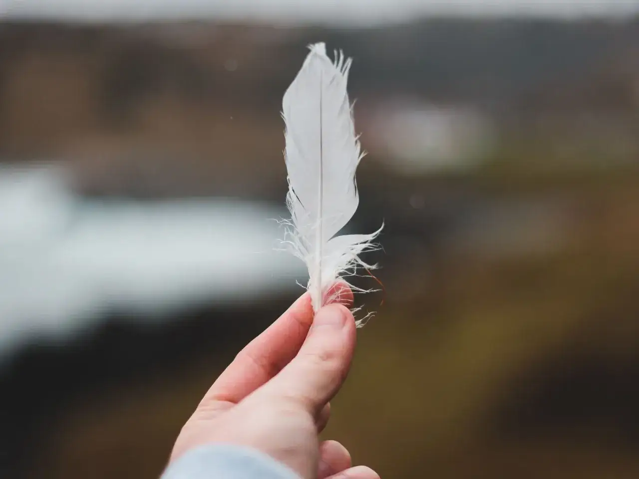Una mano sostiene una pluma blanca, símbolo de paz y esperanza.